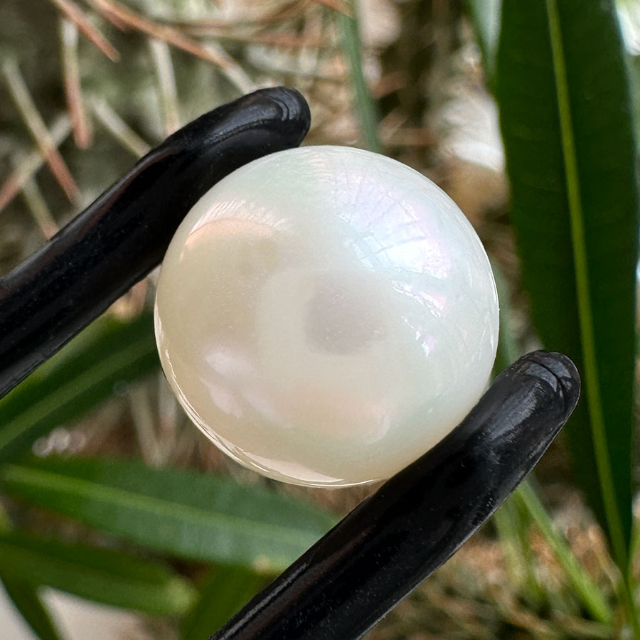 Перли - Білий