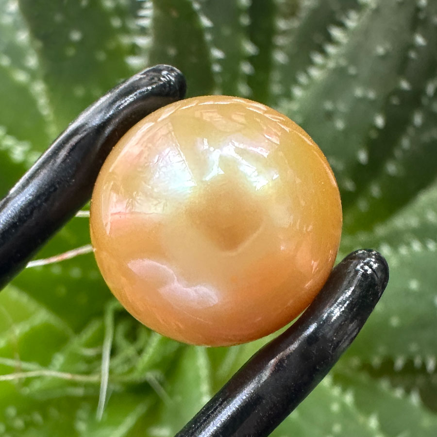 Перли - Золотистий